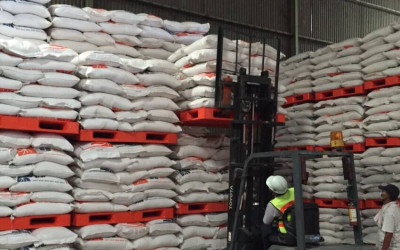 Kemenko Pangan Optimistis Swasembada Beras Tercapai Tahun Ini