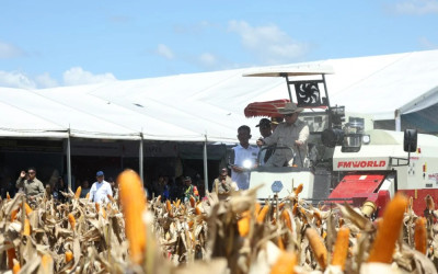 Bulog Serap 16 Ribu Ton Jagung, Bapanas Klaim Stok Nasional Kian Aman