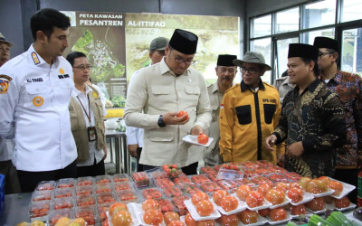 Sudaryono Bocorkan Strategi Besar Kemandirian Pangan Dari Tambah Lahan hingga Sinergi MBG