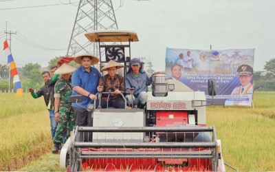 Fraksi NasDem Tegaskan Dukungan Penuh Program Swasembada Pangan Presiden Prabowo