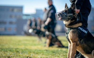 Kepolisian Gunakan Anjing Pelacak untuk Cari Potongan Tubuh Almarhum Alvaro