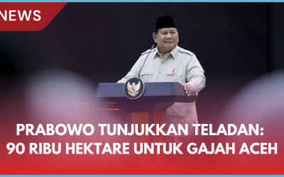 Prabowo Jadi Contoh, Lepas 90 Ribu Hektare ke WWF untuk Konservasi Gajah