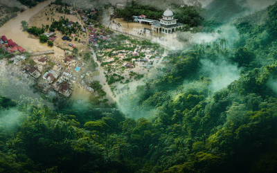 LIPSUS: Siapa Cuan karena Deforestasi Kawasan Hutan Indonesia?