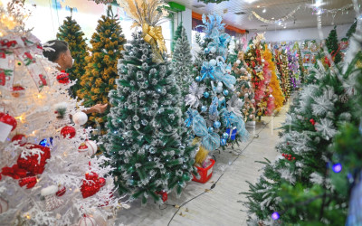 Cuan! Lonjakan Pembelian dan Penjualan Pohon Natal 2025 Sesuai Prediksi Pasar Global
