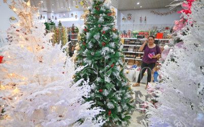 Penjualan Pohon Natal di Palu