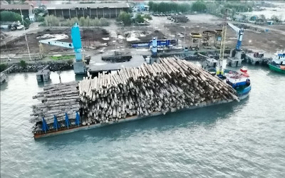 Kejagung Temukan Kerugian Negara Akibat Illegal Logging di Mentawai Sebesar 447 Miliar Lebih
