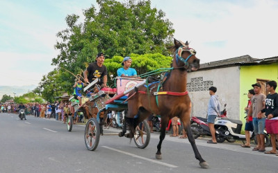 Balap Dokar di Duyu Palu