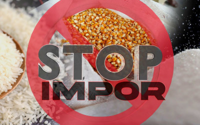 Tahun 2026 Kementan bakal Stop Impor Beberapa Komoditas: Mau Protect Petani Lokal, Konsisten gak nih!?