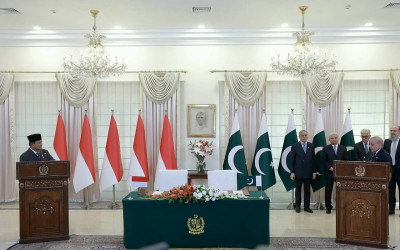 Konsistensi Diplomasi Presiden Prabowo untuk Kemerdekaan Palestina: Indonesia-Pakistan Kompak Satu Suara!