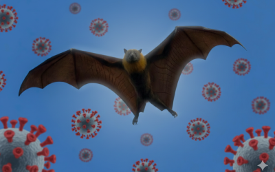 Bukan Virus Baru! Virus Nipah Ternyata Sudah Ada Sejak 1998, Malaysia Jadi Negara Pertama Yang Munculll Sebelum India !!