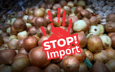 Temuan Impor Ilegal Bawang Bombai 6.172 Karung! Kementan: Laporan Penyelundupan Sektor Pertanian Marak!