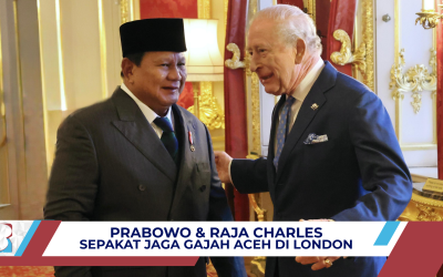 Prabowo dan Raja Charles III Sepakati Konservasi Gajah Peusangan dan 57 Taman Nasional