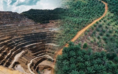 Satgas PKH Usut Bentuk Pelanggaran Lain 28 Perusahaan yang Izinnya Dicabut