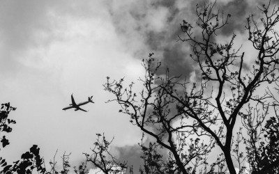 Gara-Gara Pilot WNI, Pesawat Kargo Ethiopian Airlines Diusir Balik Kandang Gak Boleh Landing di Israel