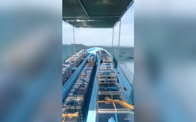 SPPG di Jayapura Antar MBG dengan 'Speed Boat': Membelah Danau Demi 2.955 Penerima Manfaat!