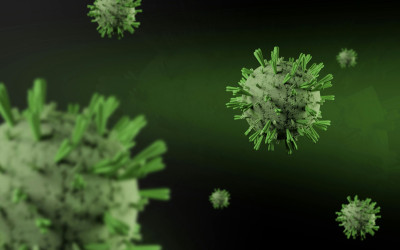 Virus Nipah Bikin Thailand dan Nepal Perketat Border, Ada Apa?