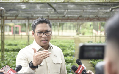 Rehabilitasi Sumatera, Wamentan: Sudah di Data! Negara Hadir Tangani Ternak dan Pertanian yang Terdampak