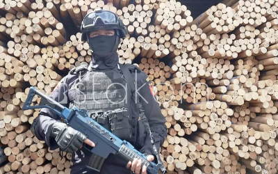 Bea Cukai Gagalkan Penyelundupan Rotan Ilegal