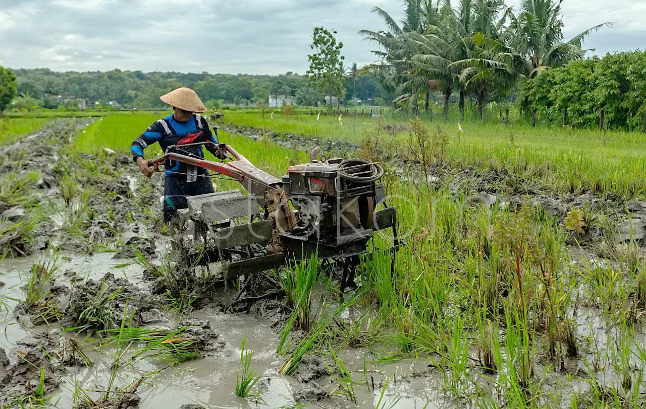 [astakom/str-Panji Arkananta]