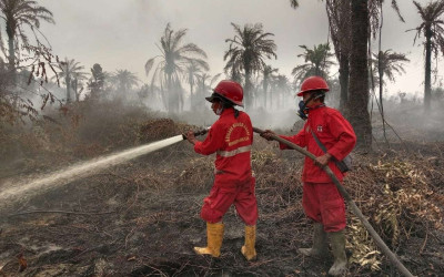 Kemenhut lagi Handle Serius Karhutla di Riau-Kepulauan Riau, Turunkan Tim Lintas Daerah