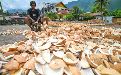 Harga Kopra di Sigi Mengalami Kenaikan