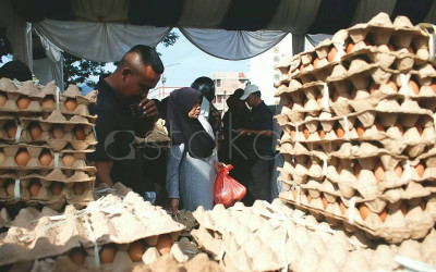 Auto Cuan! Program MBG Bikin Peternak Ayam Petelur di Sumba Barat Daya NTT Kebanjiran Order
