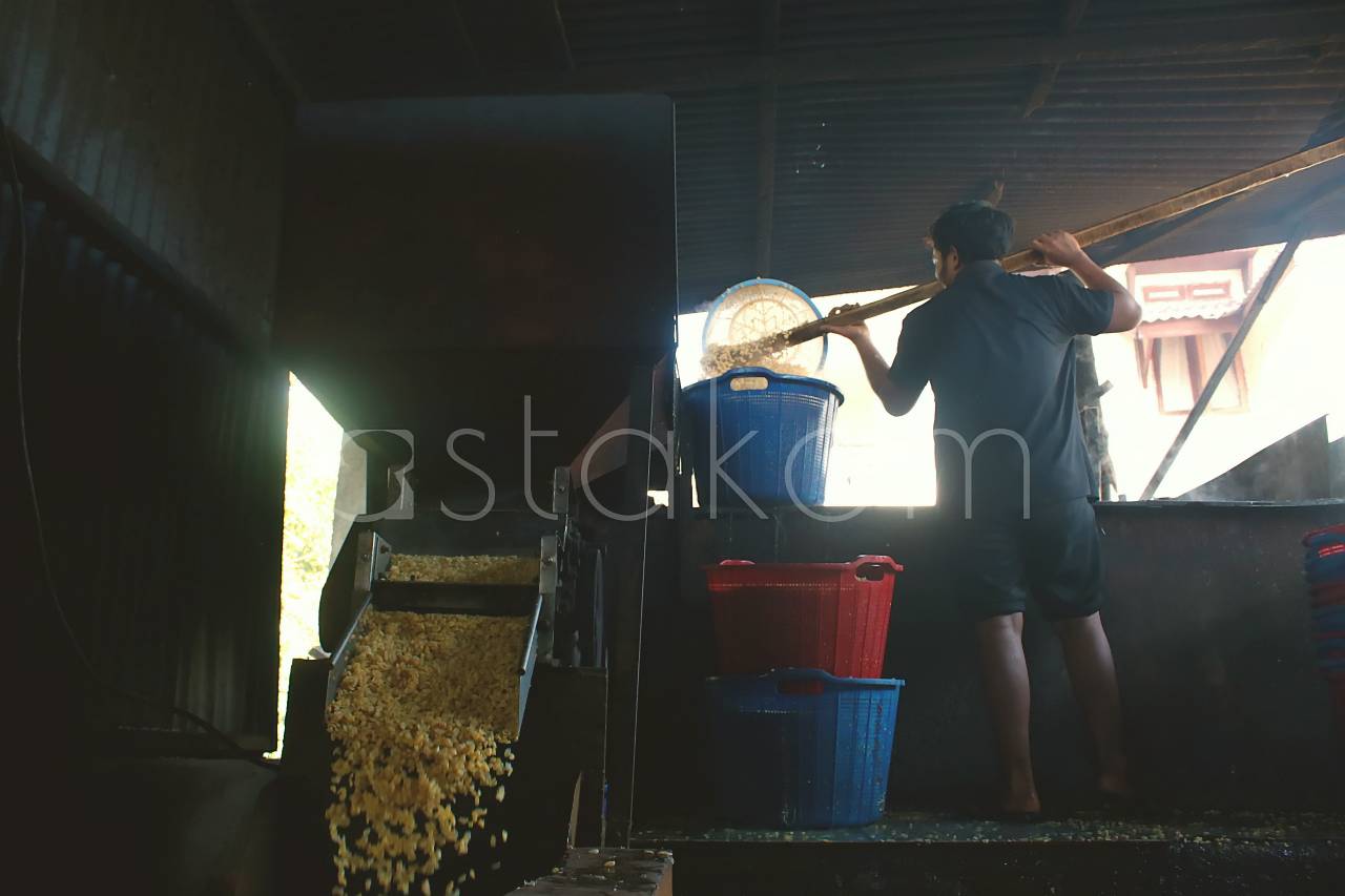 [astakom/str-Wahyu Majiah]