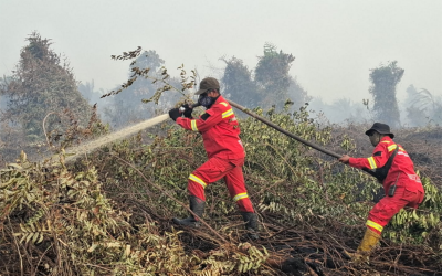 Riau Darurat Karhutla, 2.713 Hektare Lahan Terbakar dalam 3 Bulan