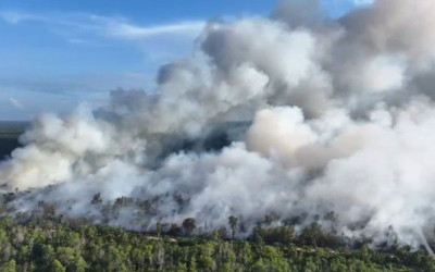 BPBD: Kurangnya Air-Angin Kencang Jadi Kendala Pemadaman Karhutla di Riau