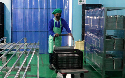MBG Buka Harapan Baru, Penyandang Disabilitas di Sukoharjo Diberdayakan dan Berpenghasilan