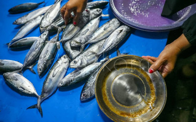 Kenaikan Harga Ikan di Palu