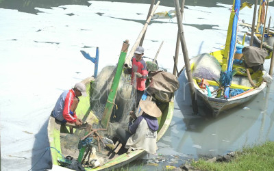 Limbah Busa di Sungai Tambak Wedi Surabaya
