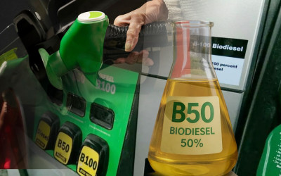 Presiden Prabowo Push Bioenergi B50 dan E20: Indonesia Kejar Mandiri Energi!
