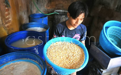Harga Kedelai Ngegas, Pemerintah Spill Opsi Subsidi Buat Penyelamat Tahu-Tempe!