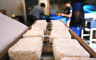 Kenaikan Harga Kedelai Impor