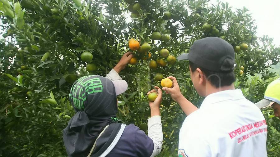 [astakom/str-Hayu Yudha Prabowo]