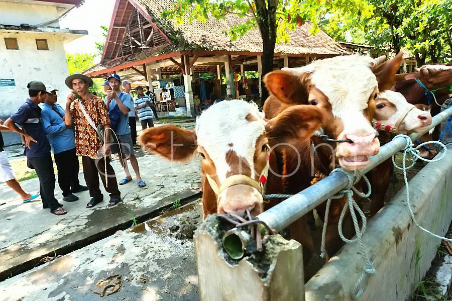 [astakom/str-Panji Arkananta]
