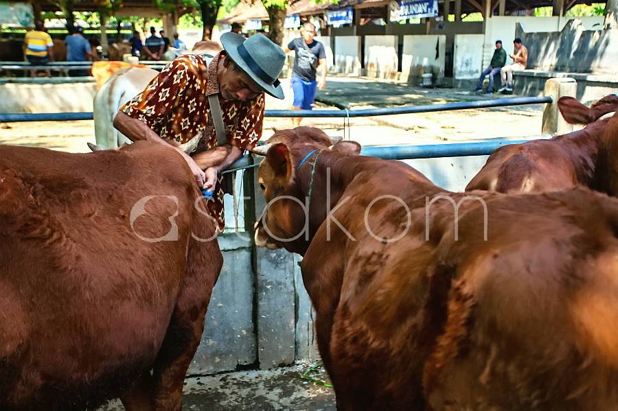 [astakom/str-Panji Arkananta]
