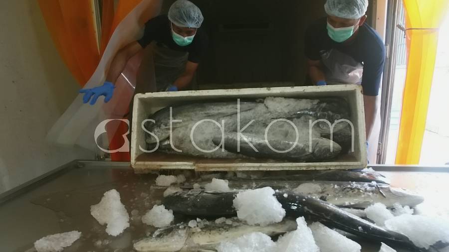 [astakom.com/str-Hayu Yudha Prabowo]