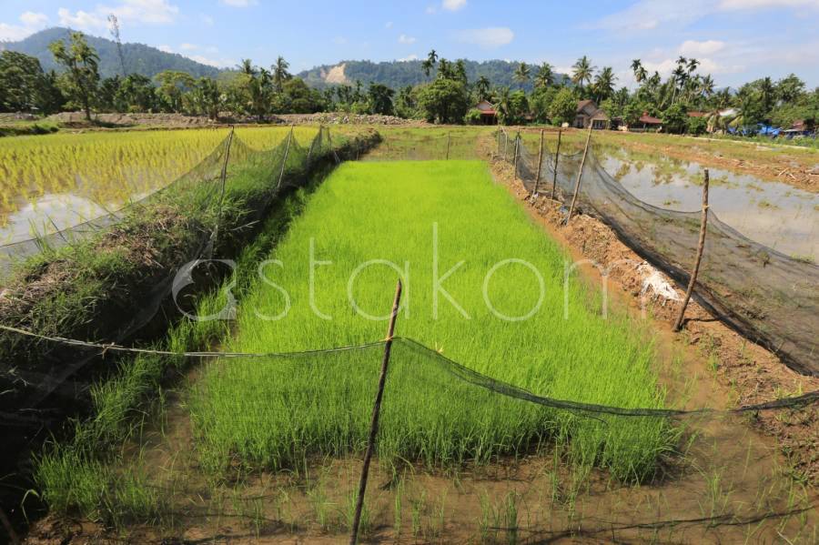 [astakom/str-Andri Mardiansyah]