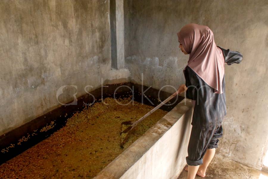 [astakom/str-Wahyu Majiah]