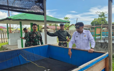 BGN Rangkul Yonif 804 Buat Perkuat Ketahanan Pangan dan Dorong Ekonomi Lokal di Nabire