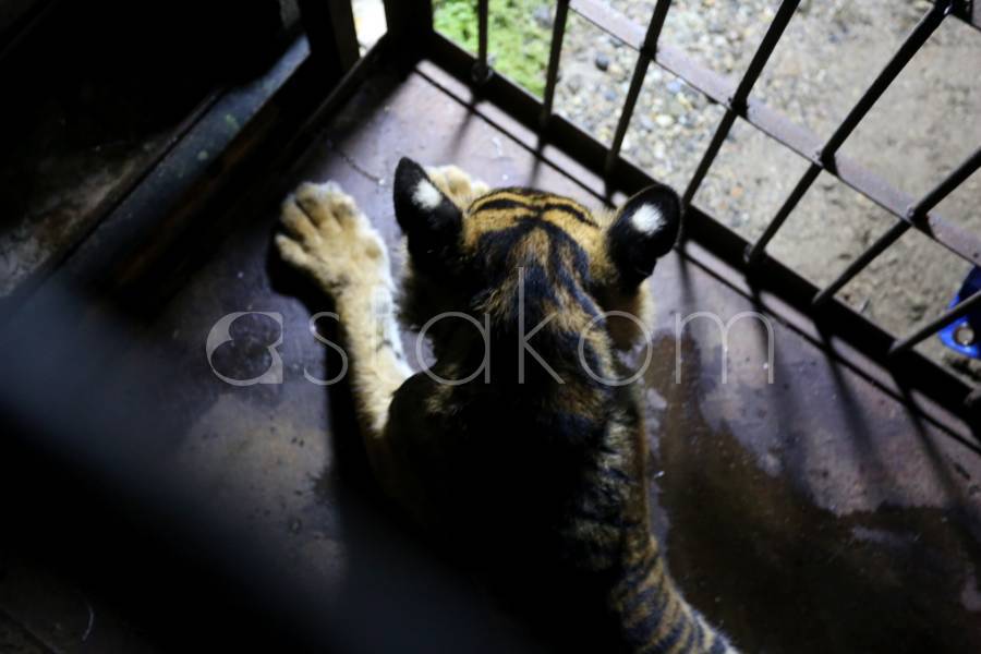 [astakom/str-Andri Mardiansyah]