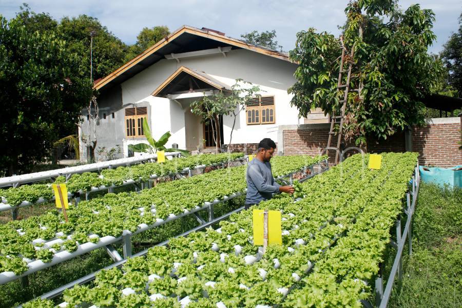 [astakom/str-Wahyu Majiah]