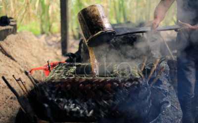 Produksi Gula Tradisional di Agam