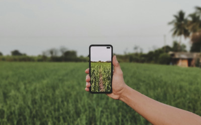 Koperasi Desa Mulai Go Digital, Kemkomdigi Dorong KDKMP Naik Kelas Lewat Internet Cepat
