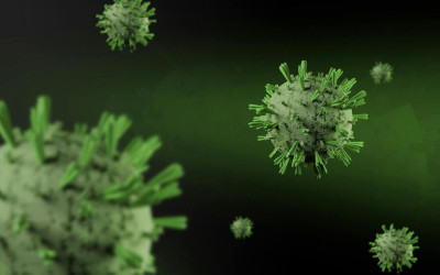 Hantavirus Mulai Terdeteksi di Tanah Air, Kemenkes Imbau Kewaspadaan!