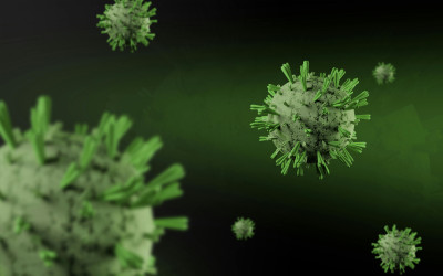 Hantavirus Disebut ‘Konspirasi’ di Medsos: Kemenkes Speak Up Begini!