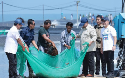 Presiden Prabowo Hadiri Panen Raya Udang