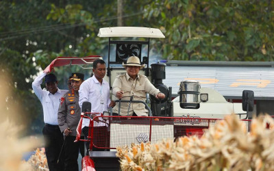 Panen Raya Jagung bareng Presiden Prabowo: Inovasi dan Ketahanan Pangan RI Makin Dikebut